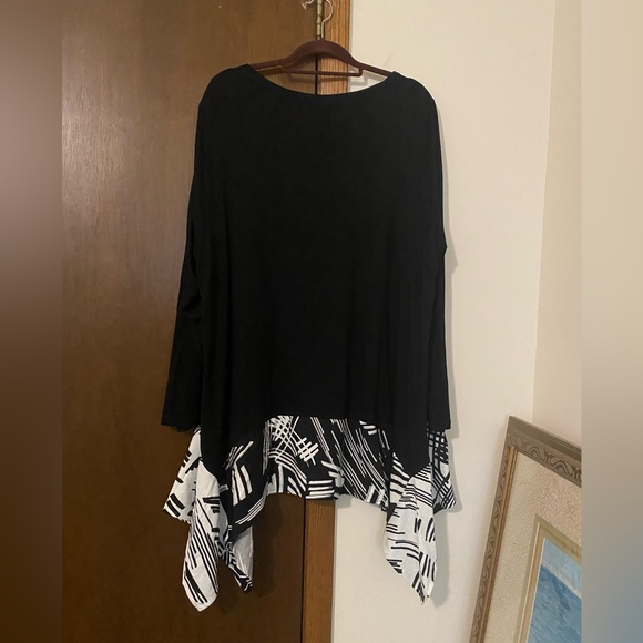 Zim and Zoe plus size dress/tunic - Picture 2 of 6